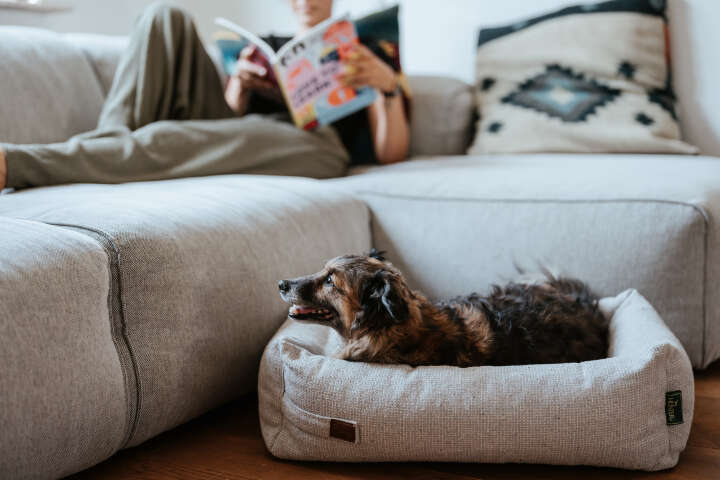 HUNTER Orthopädisches Hunde-Sofa Trosa